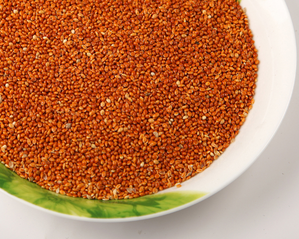 RED MILLET