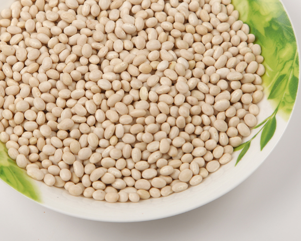 NAVY BEAN WHITE KIDNEY BEAN